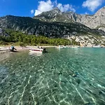 Gelidonya