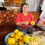 Gelidonya Bed and breakfast