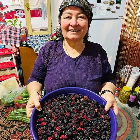 Gelidonya Bed & Breakfast 3*