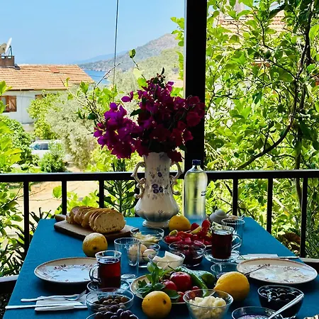 Gelidonya Bed & Breakfast *