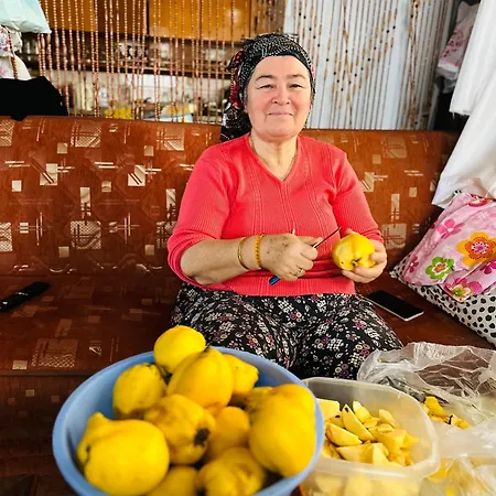 Gelidonya Oda ve Kahvaltı