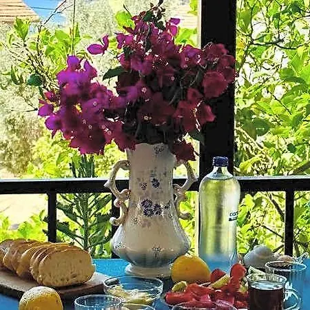 Alojamento de Acomodação e Pequeno-almoço Gelidonya 3*
