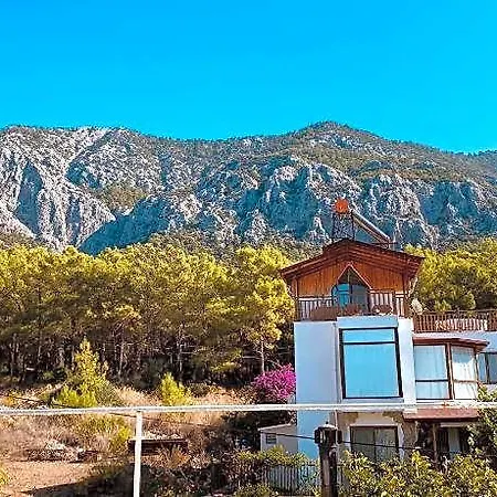 Alojamento de Acomodação e Pequeno-almoço Gelidonya 3*