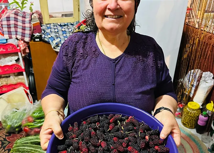 Gelidonya Отель типа 
