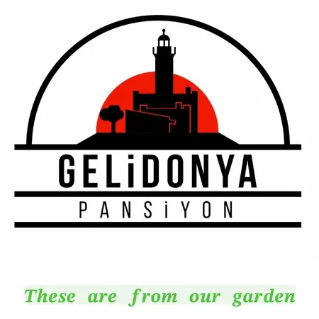 Gelidonya 3*