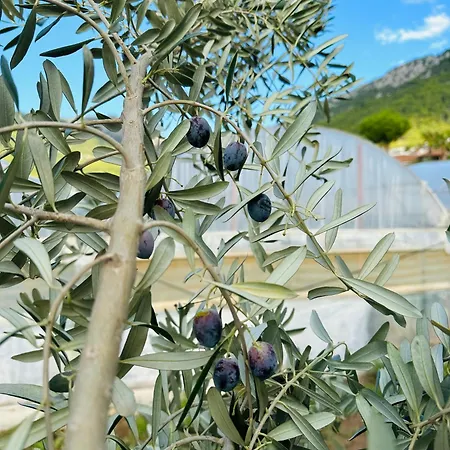 Gelidonya Pansiyon Kumluca